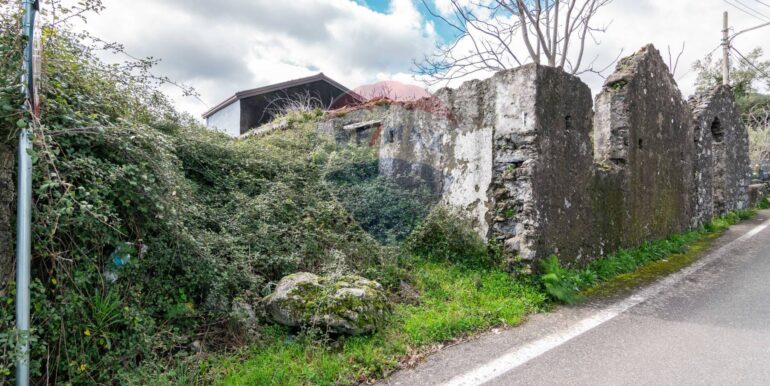 20250307135016-934087-12