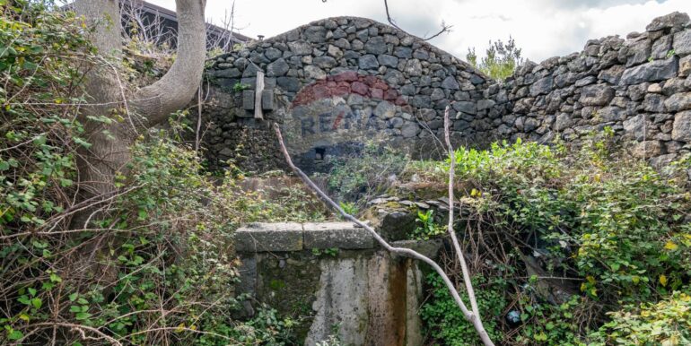 20250307135020-934087-13