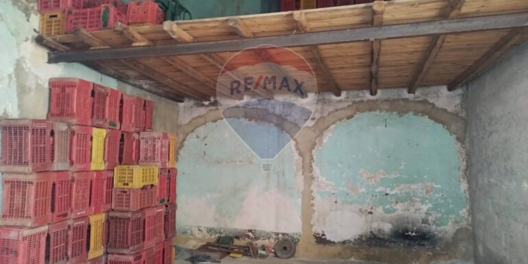 20250409201034-943029-1