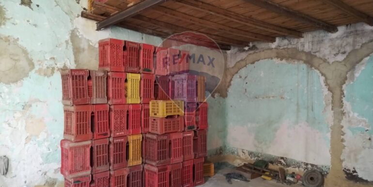 20250409201039-943029-4