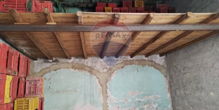 20250409201043-943029-6