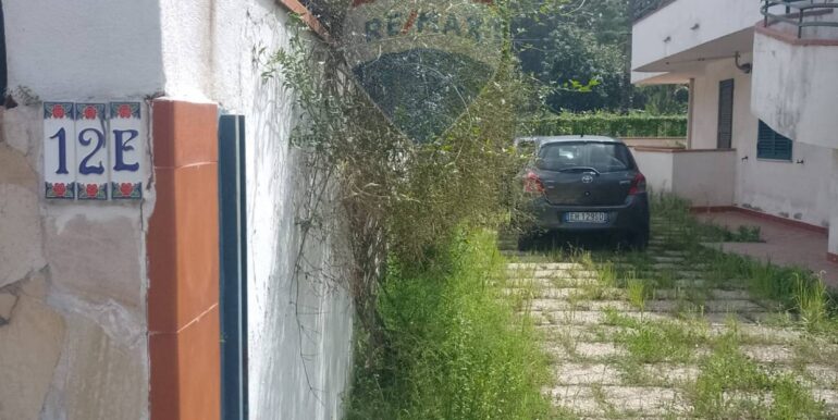 20250507210825-947462-5