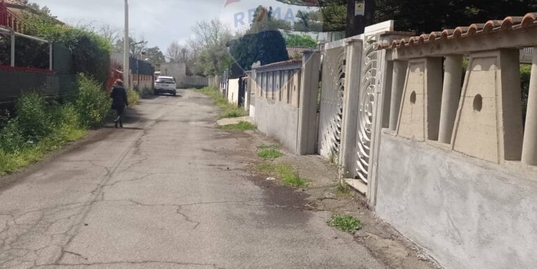 20250507210828-947462-6