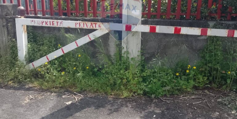 20250507210831-947462-7