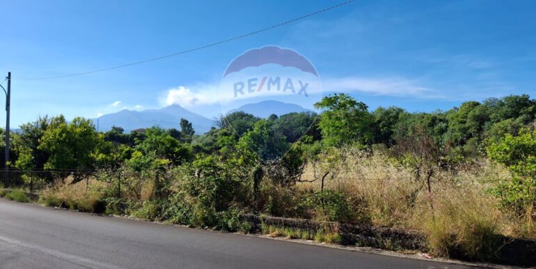 20250605184829-955837-1