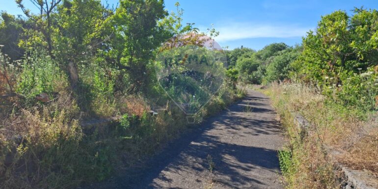 20250605184831-955837-2