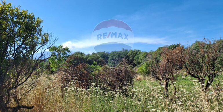 20250605184834-955837-3