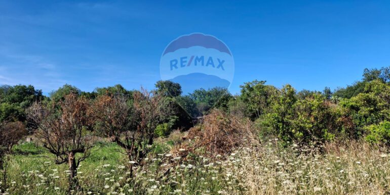 20250605184839-955837-5