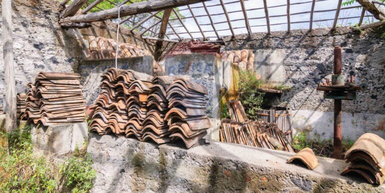 20250624104024-961345-6