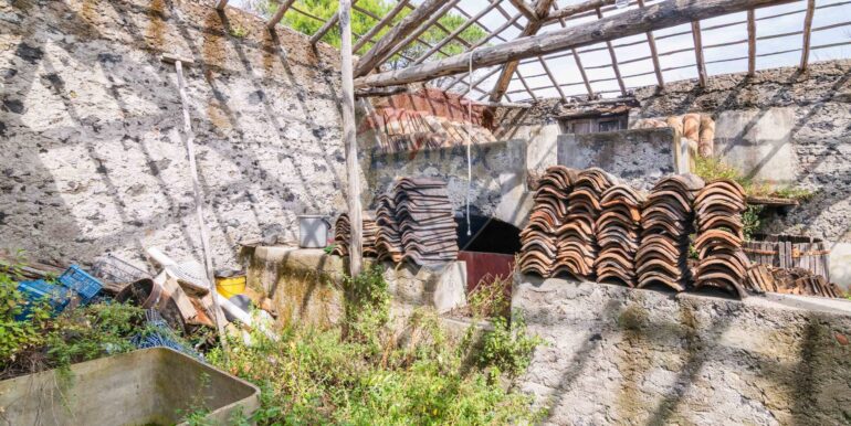 20250624104027-961345-7