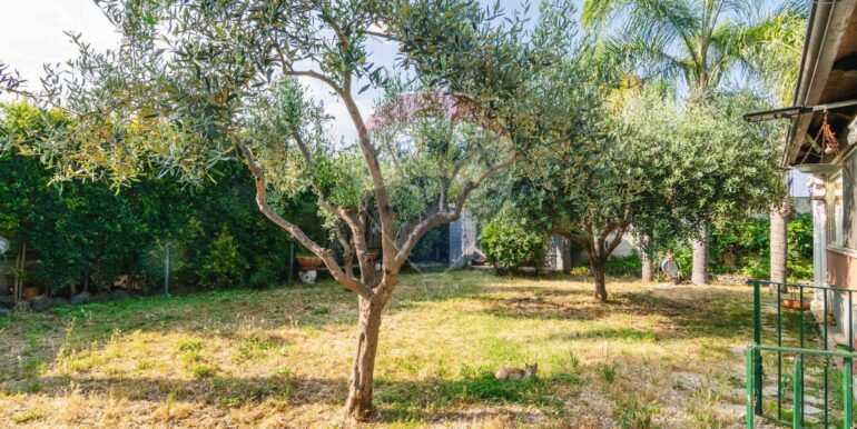 20250624180346-961652-7