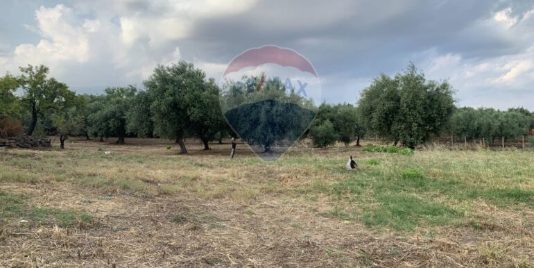 20250630195538-963536-4