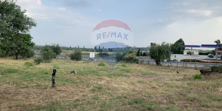 20250630195551-963536-5