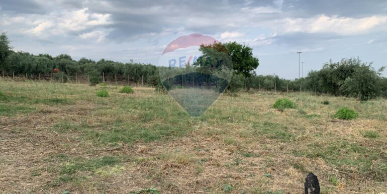 20250630195912-963536-11