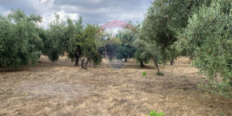 20250630195924-963536-13