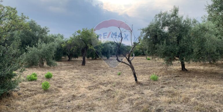 20250630195929-963536-14