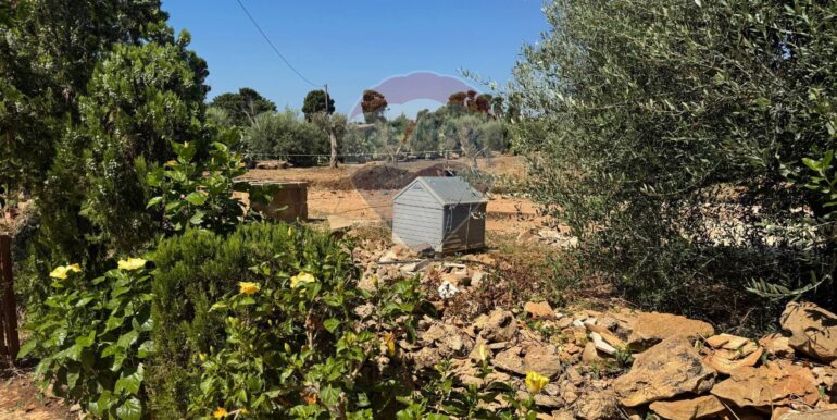 20250703185204-963917-8