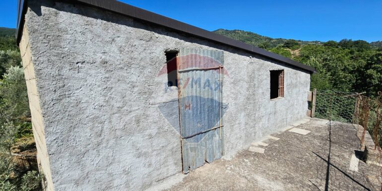 20250727181303-972024-5