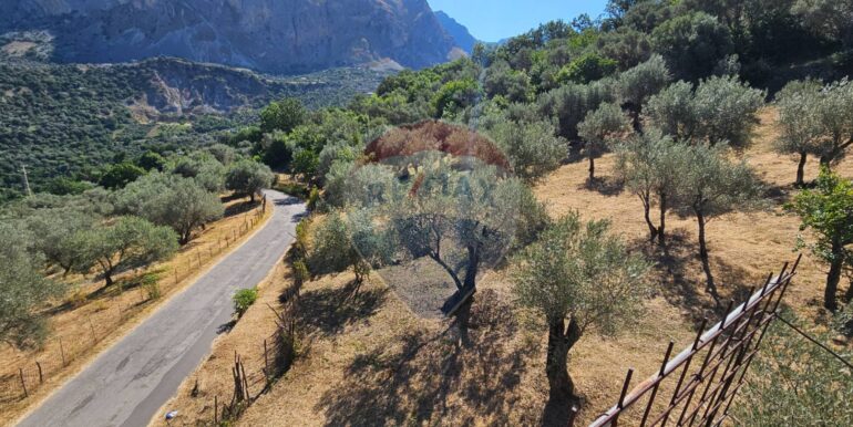 20250727181346-972024-7