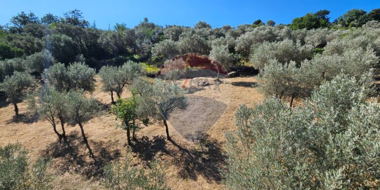 20250727181426-972024-9