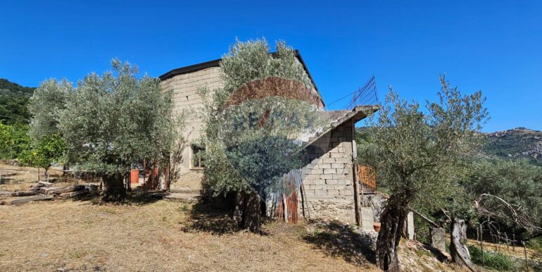 20250727182426-972024-31