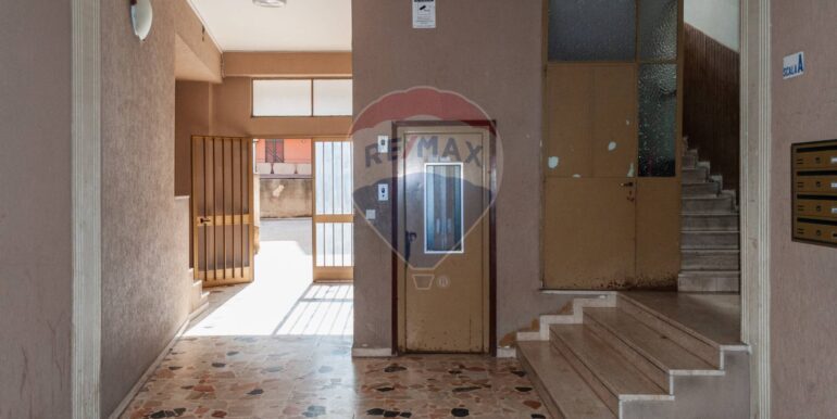 20250730192824-972663-6