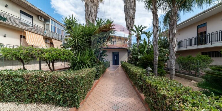 2025080192159-972892-1