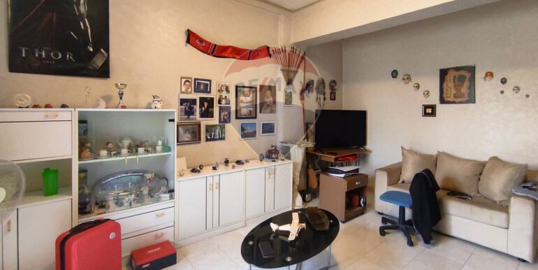 2025080493411-973202-17