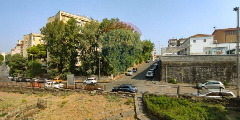 2025080493413-973202-25