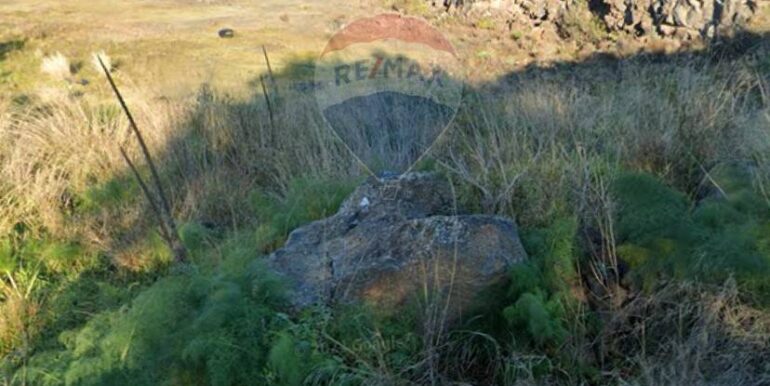 20250821122323-975275-1