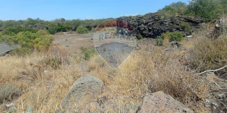 20250821122324-975275-5