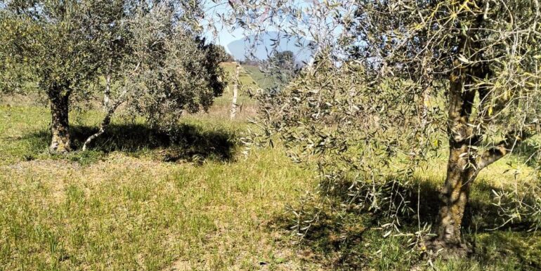 20250826114254-975746-0