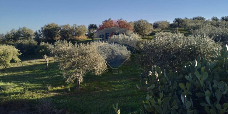 20250826114255-975746-1