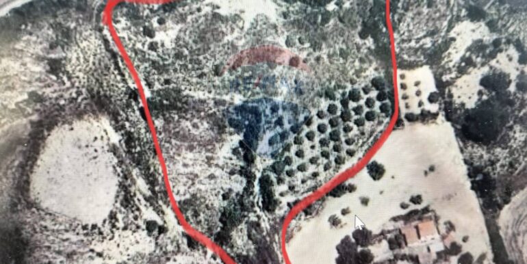 20250826114256-975746-5