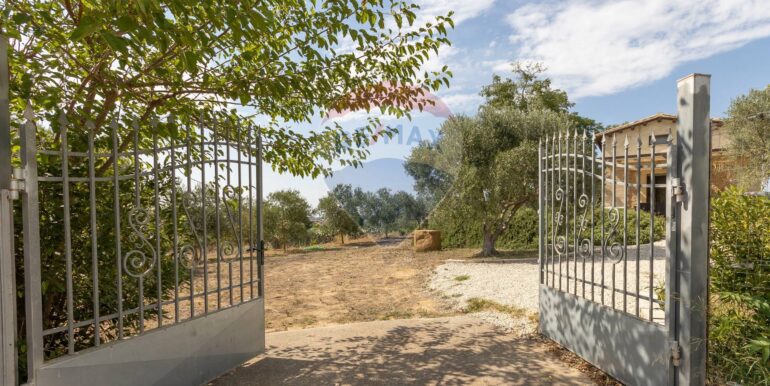 2025082994141-974818-10