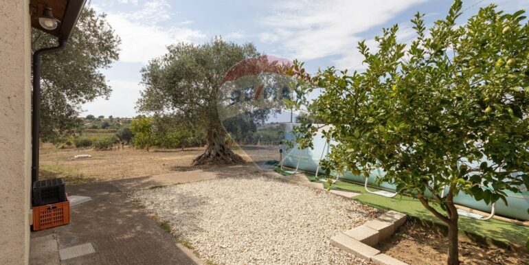 2025082994203-974818-15