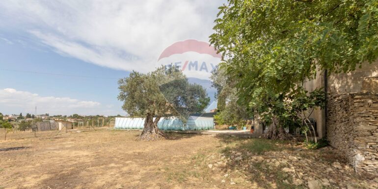 2025082994207-974818-16