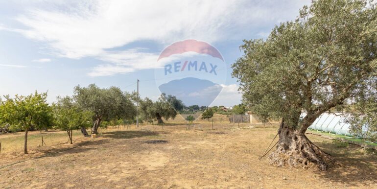 2025082994211-974818-17