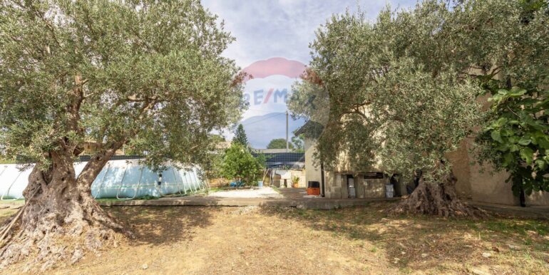 2025082994216-974818-18