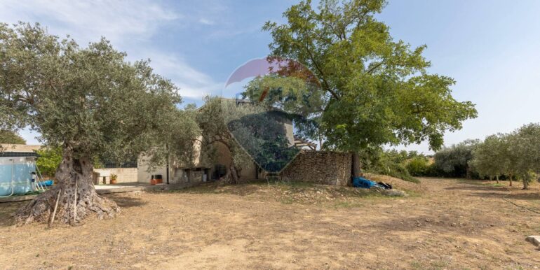 2025082994221-974818-19