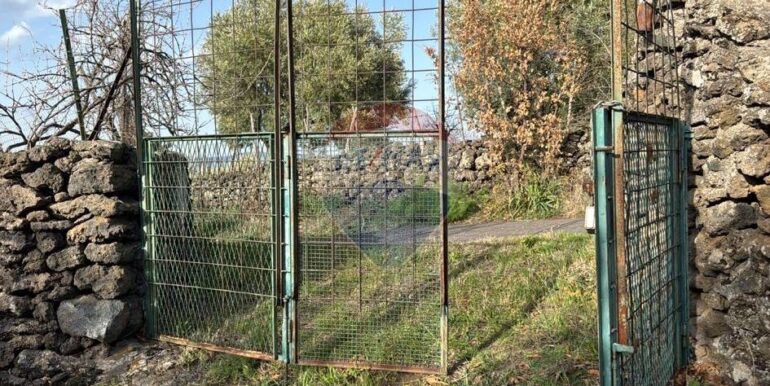 20241112113647-902431-31