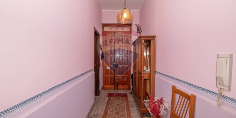 2025010883728-917767-3