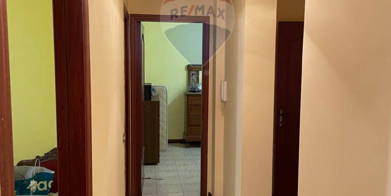 20250120145524-911282-9