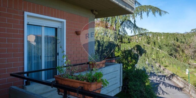 20250127111448-922664-8