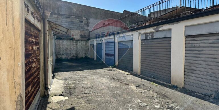 20250129105106-923324-1