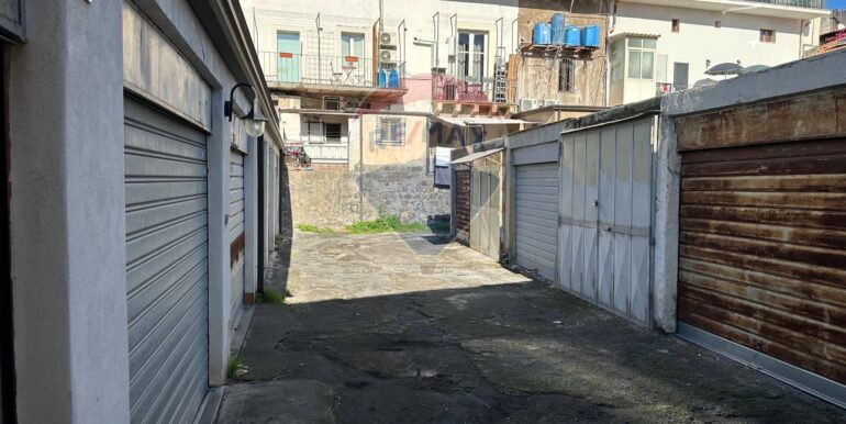 20250129105110-923324-3