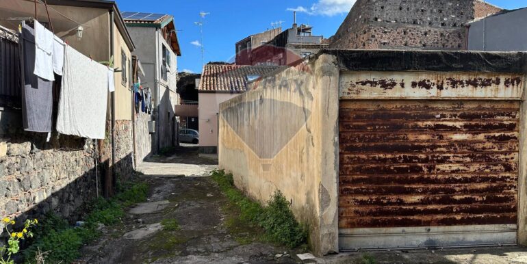 20250129105118-923324-7