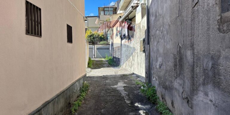 20250129105125-923324-10