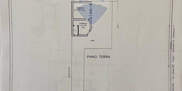 2025020813138-928258-2