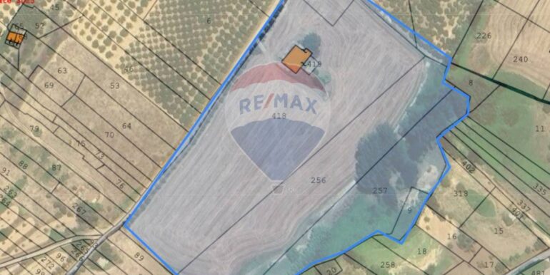 20250213200656-929189-16